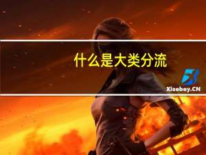 什么是大类分流