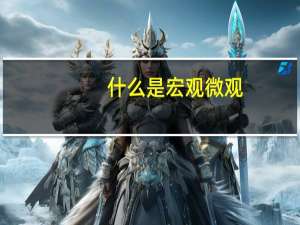 什么是宏观微观