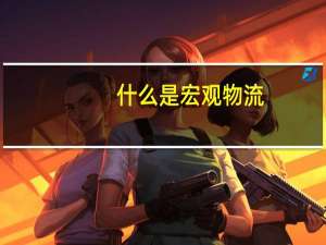 什么是宏观物流