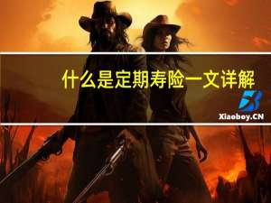 什么是定期寿险一文详解（什么是定期寿险）