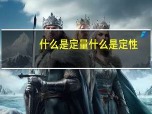 什么是定量什么是定性