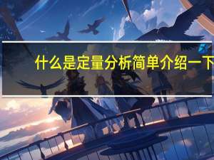 什么是定量分析 简单介绍一下