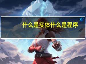 什么是实体什么是程序