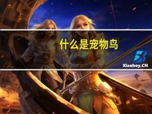 什么是宠物鸟