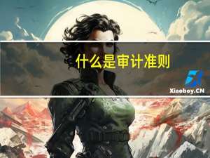 什么是审计准则