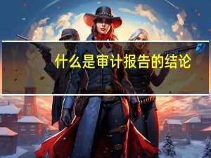 什么是审计报告的结论