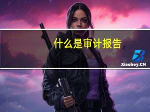 什么是审计报告（什么是审计）