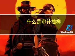 什么是审计抽样