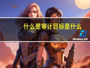 什么是审计目标是什么