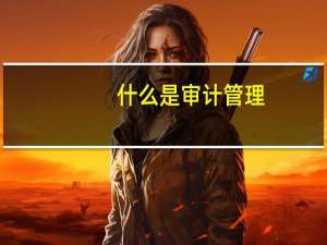 什么是审计管理