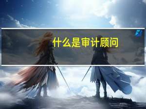 什么是审计顾问