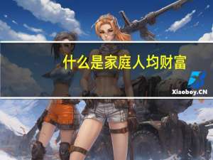 什么是家庭人均财富