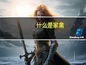 什么是家禽