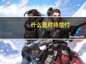 什么是对待给付