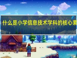 什么是小学信息技术学科的核心素养呢