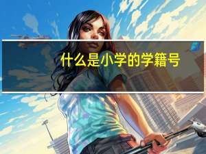 什么是小学的学籍号