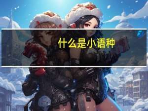 什么是小语种，小语种的范围是什么