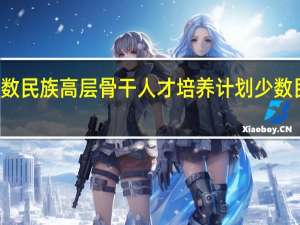 什么是少数民族高层骨干人才培养计划 少数民族骨干计划网