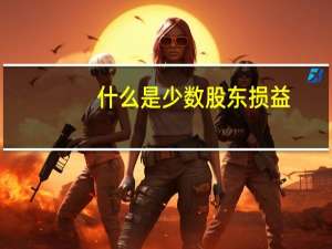 什么是少数股东损益