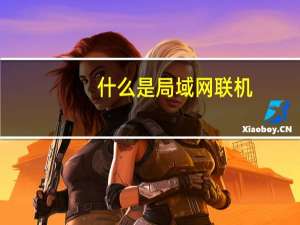 什么是局域网联机