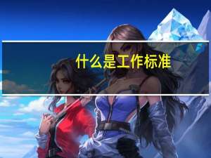 什么是工作标准