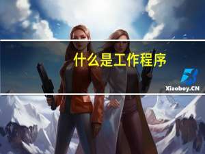 什么是工作程序