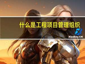 什么是工程项目管理组织