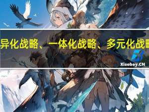 什么是差异化战略、一体化战略、多元化战略、全球化战略