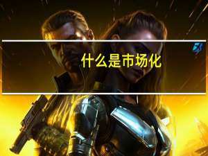 什么是市场化