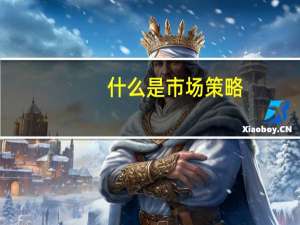 什么是市场策略
