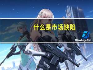 什么是市场缺陷