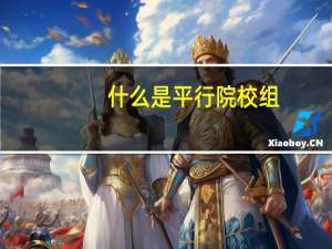 什么是平行院校组