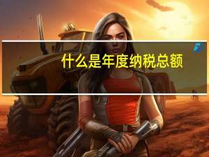 什么是年度纳税总额