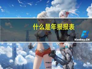 什么是年报报表