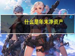 什么是年末净资产
