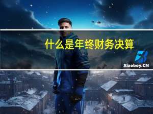什么是年终财务决算