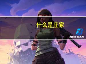 什么是庄家