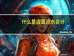 什么是店面流水会计