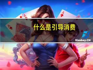 什么是引导消费