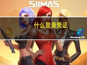 什么是录凭证