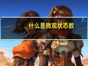 什么是微观状态数