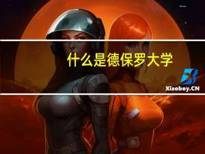 什么是德保罗大学