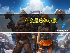 什么是总体小康