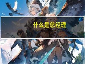 什么是总经理