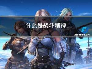 什么是战斗精神