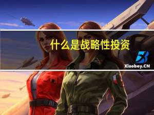 什么是战略性投资