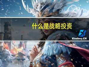 什么是战略投资