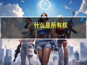 什么是所有权
