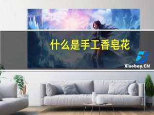 什么是手工香皂花