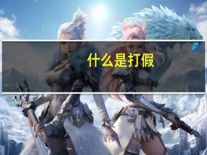 什么是打假